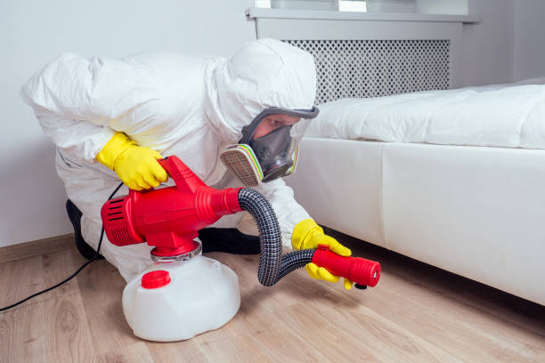 Emergency Pest Control in Tuba City, AZ